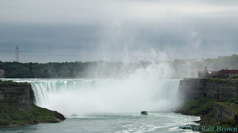 DSC61666.jpg
