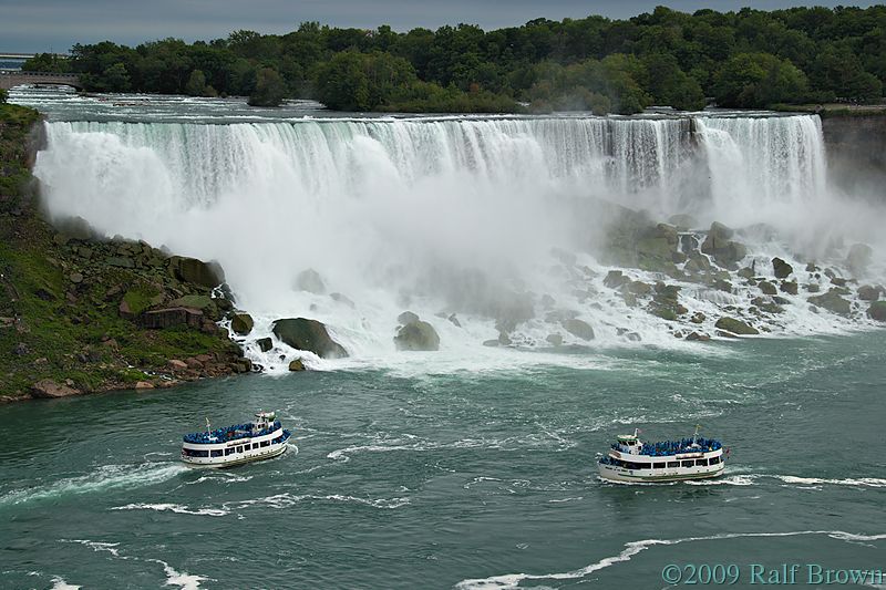 DSC61667.jpg