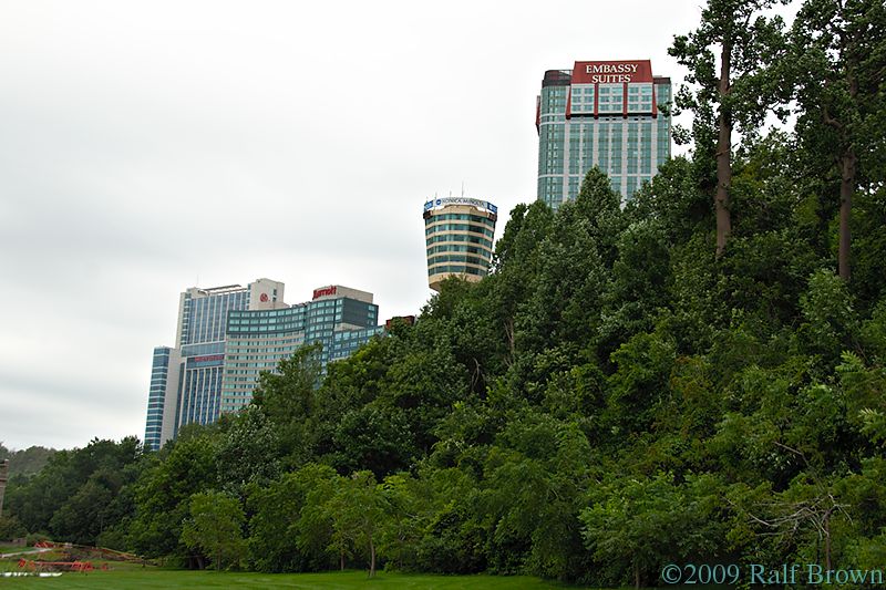 DSC61715.jpg
