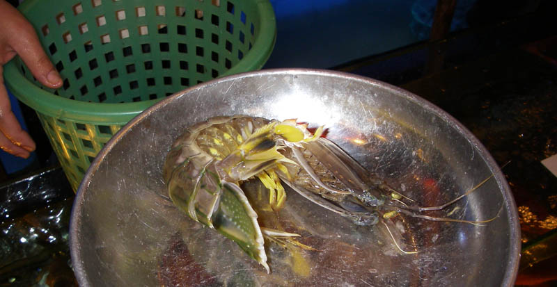 Pissing Shrimp 撒尿蝦 1913.jpg