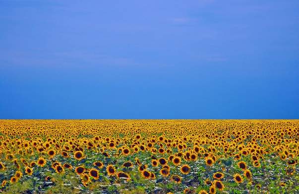 Vojvodina