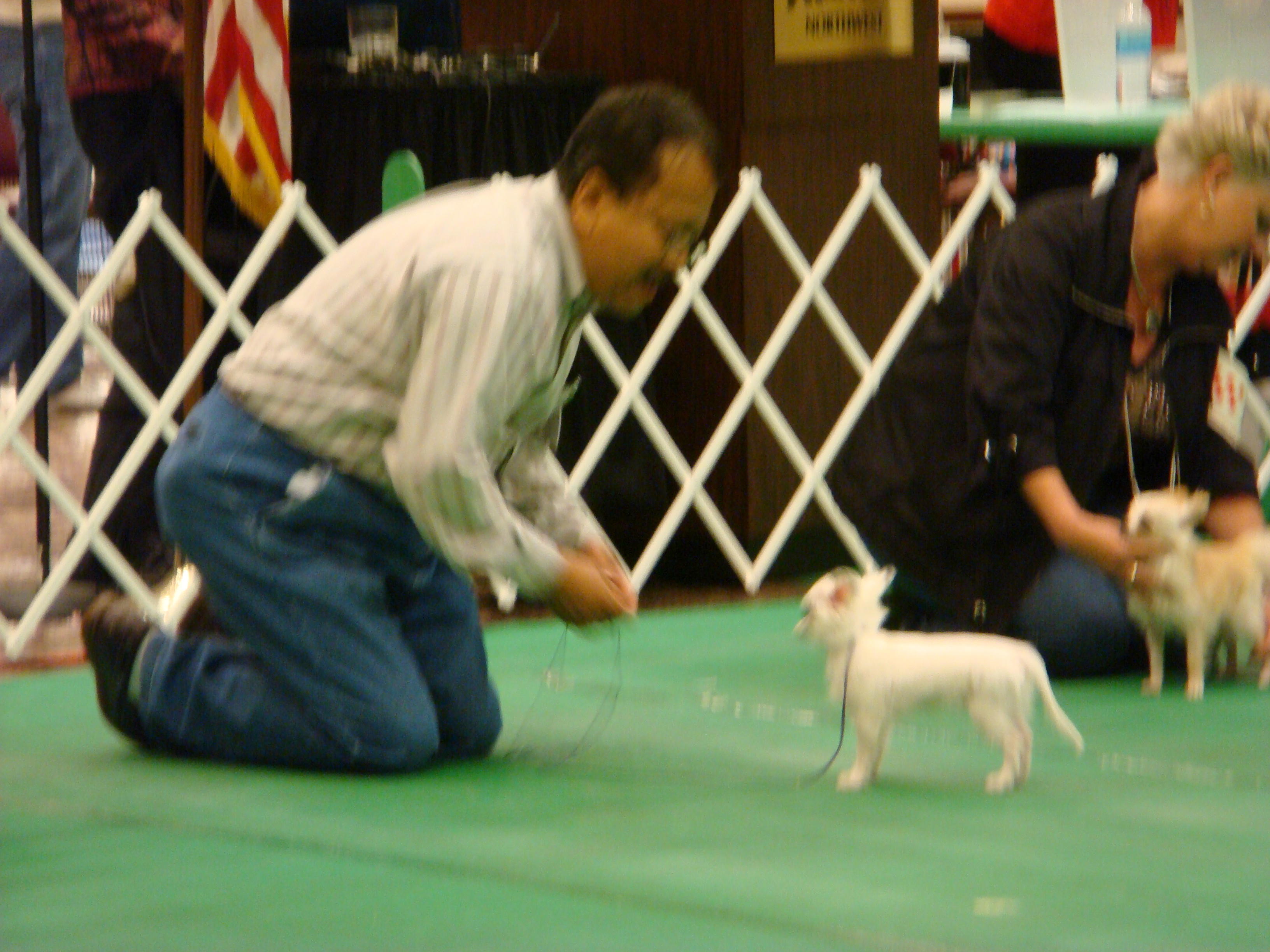 DSC00474.JPG