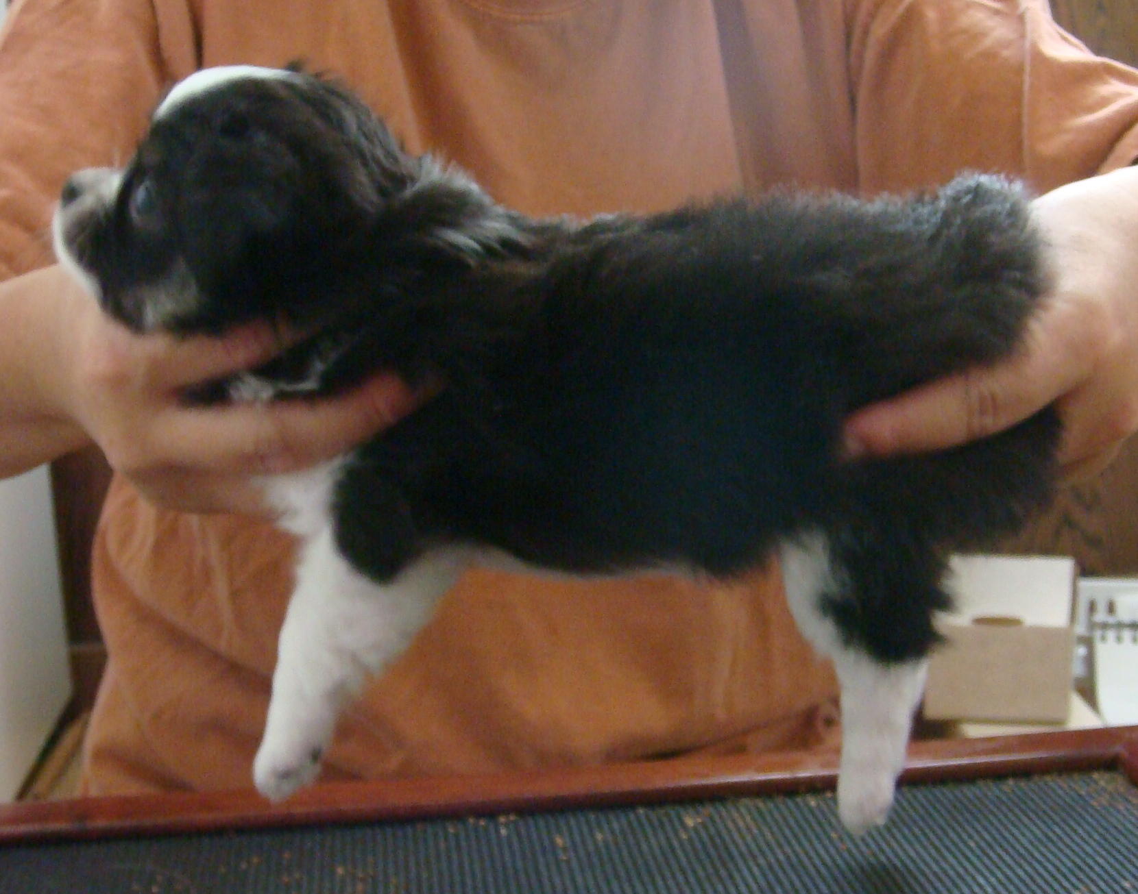 Black Girl 6 weeks