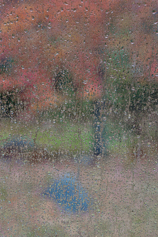 Through the Window on a Rainy Autumn Day #2