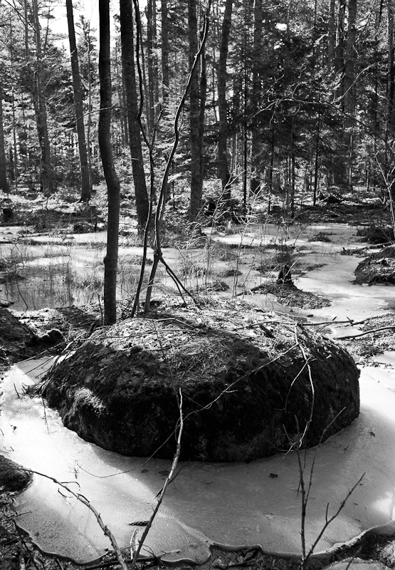 Rock and Frozen Marsh