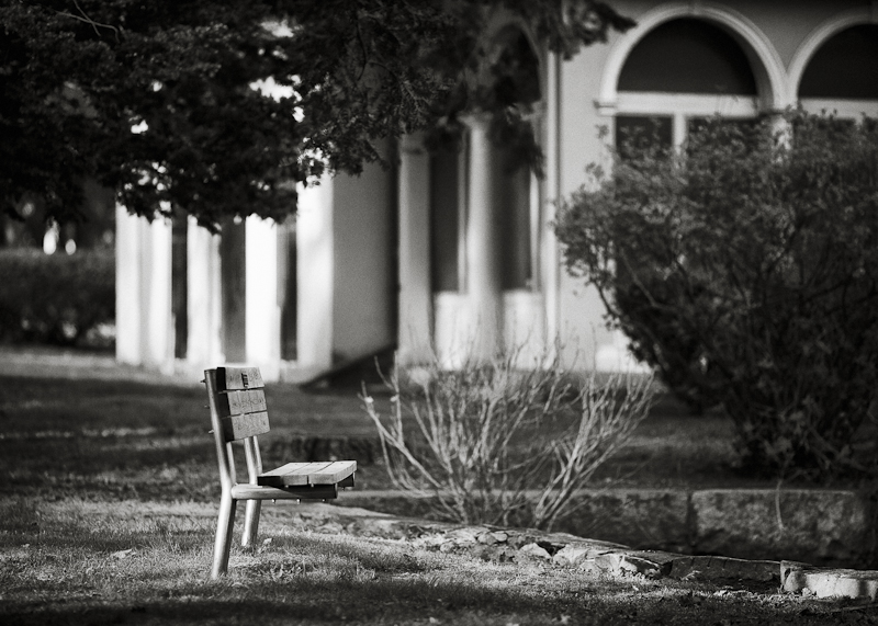 Daves Bench by the Tea House, Overlooking the Rose Garden