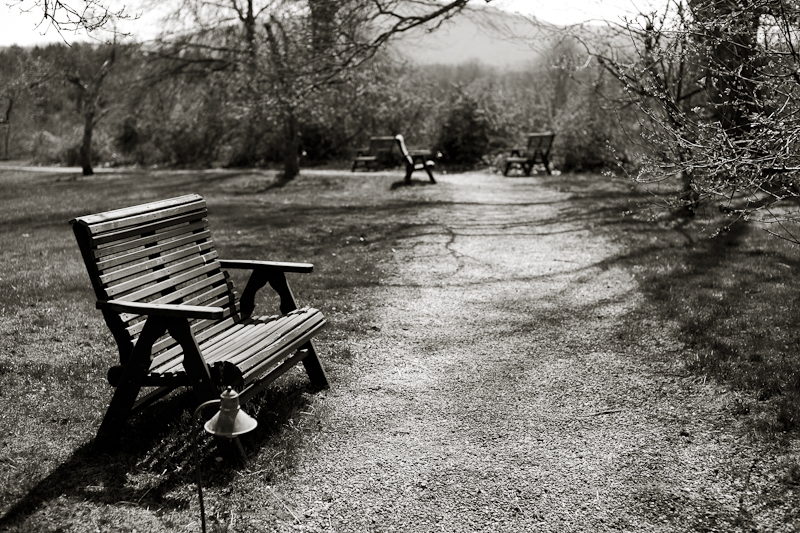 Benches on a Path