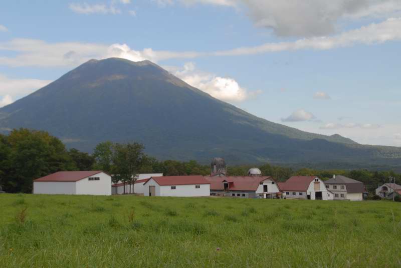 Mt.Yotei,Niseko羊蹄山 DSC_04540001.JPG