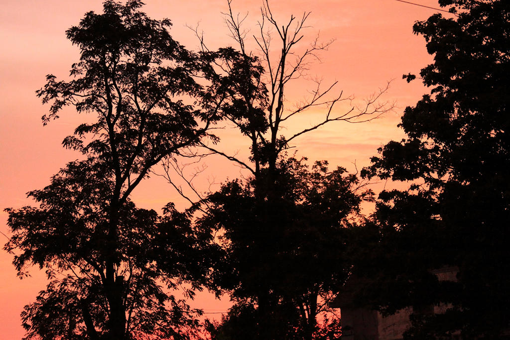 Sunset after the storm
