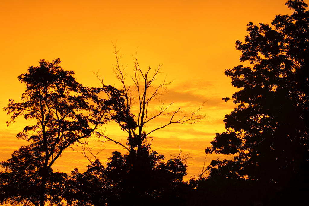 Sunset after the storm
