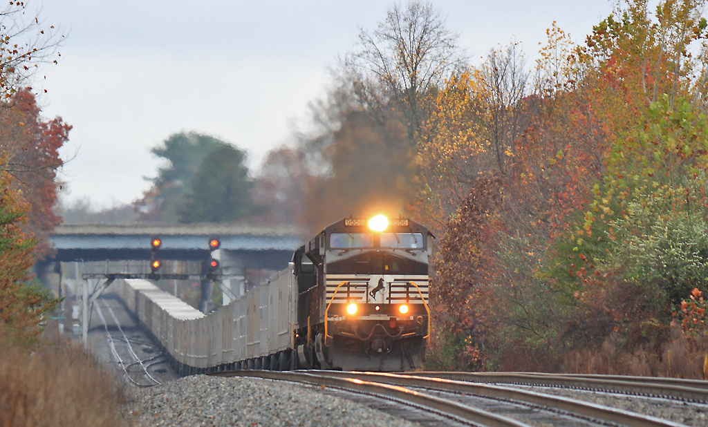 NS 264 on a wet Sunday morning at Pemberton 