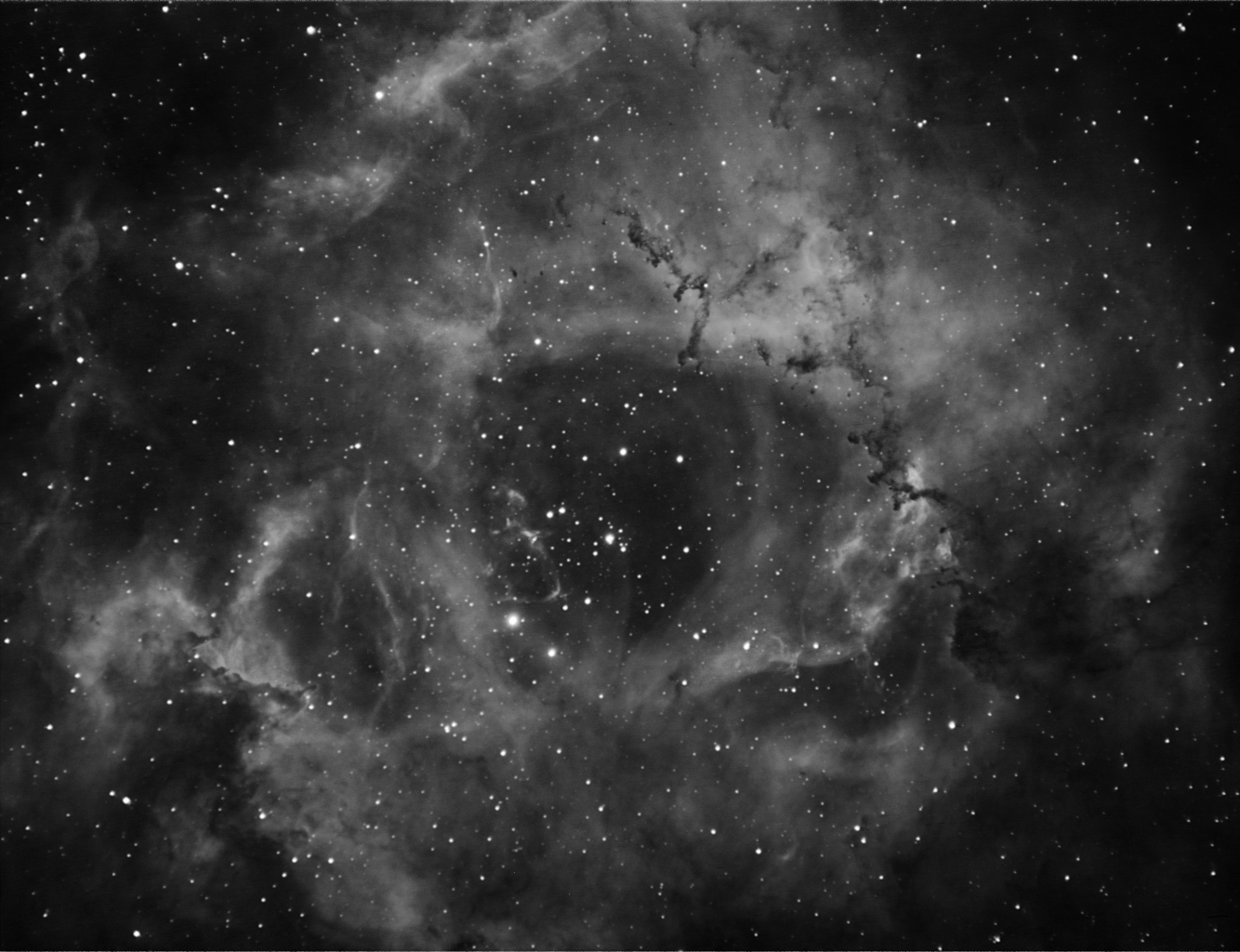 Rosette Nebula