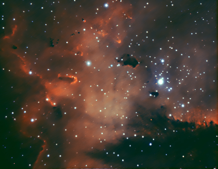 Bok Globules in NGC 281