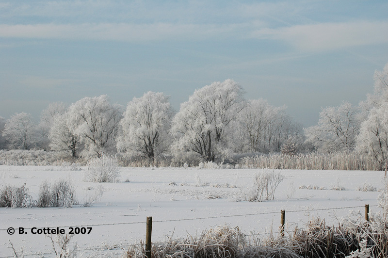 Bourgoyen December 2007