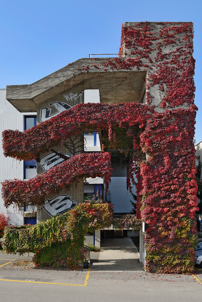 Stairs in autumn