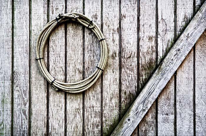 Stable Door