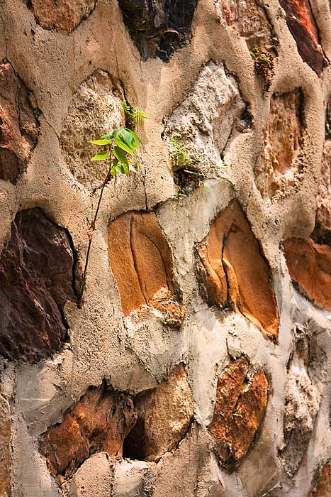 The Wall