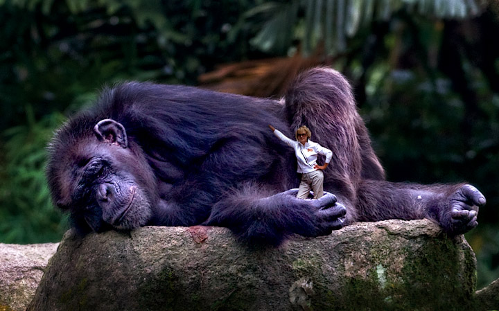 King Kong