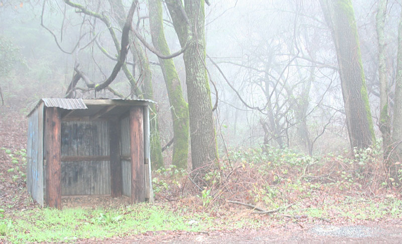 Foggy Day Bus Stop