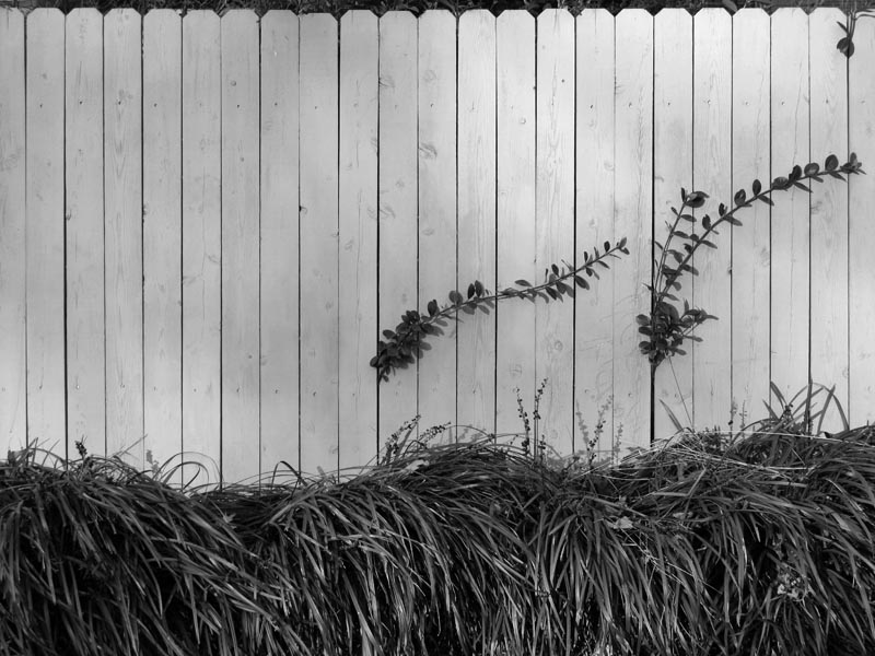 Fence