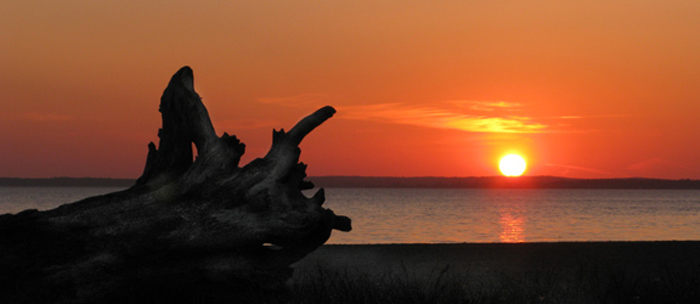Sunset Still