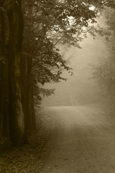 5th Place<br>Quietude <br>by shu