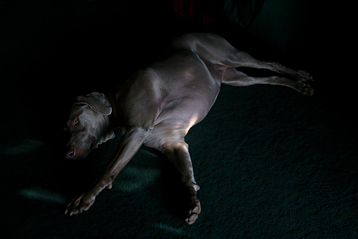 nap time