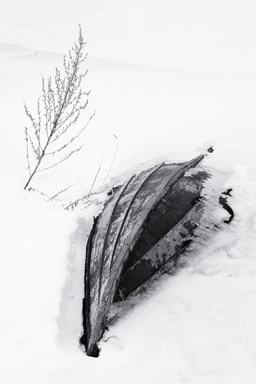 5th Place<br>Waiting for Summer <br>by Kuivaamo