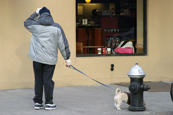 Walkies