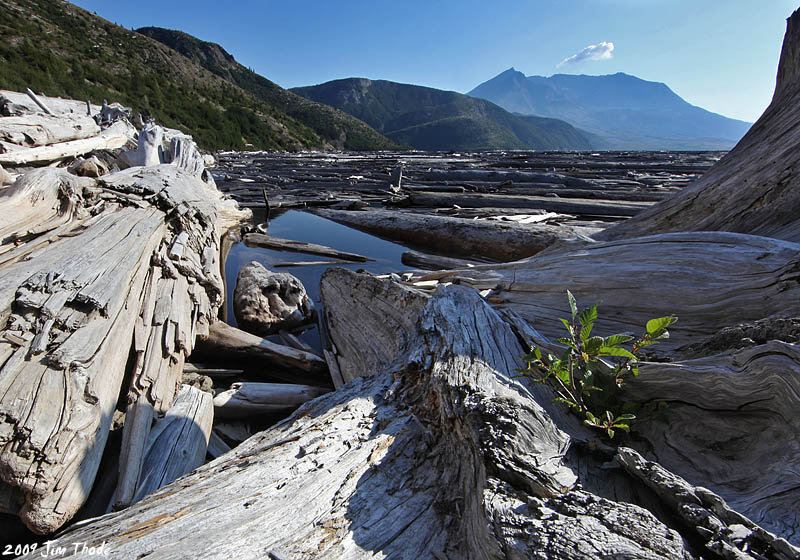 10th: Spirit Lake - Mt St Helens by Jim Thode