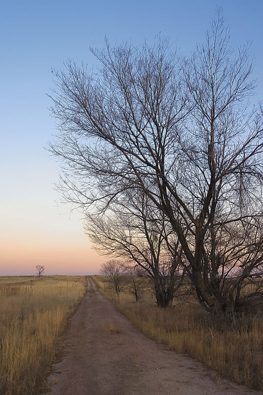 Long Road Home