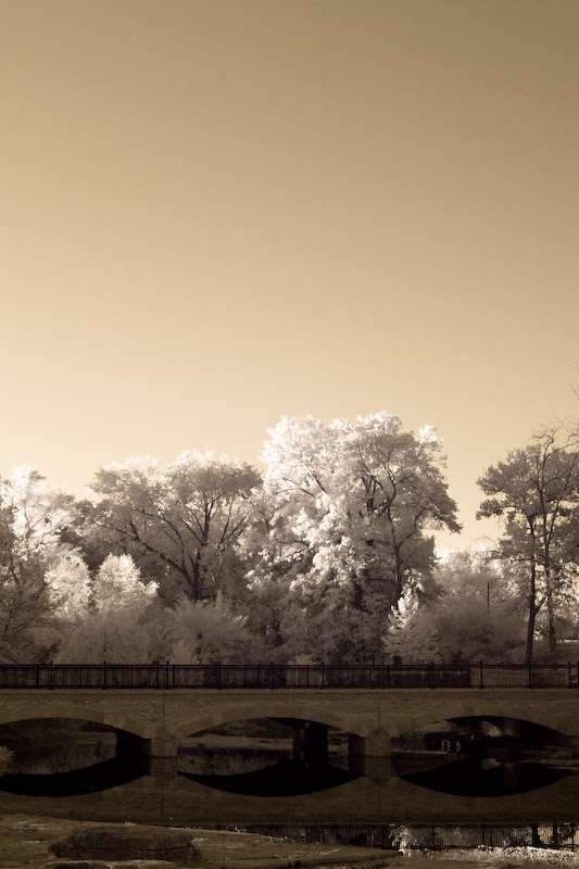 Forest Park Bridge at Dawn #2