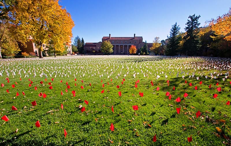 Field of Lost Dreams