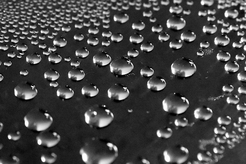 Beads of water