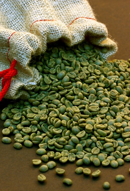 new bean-ginnings