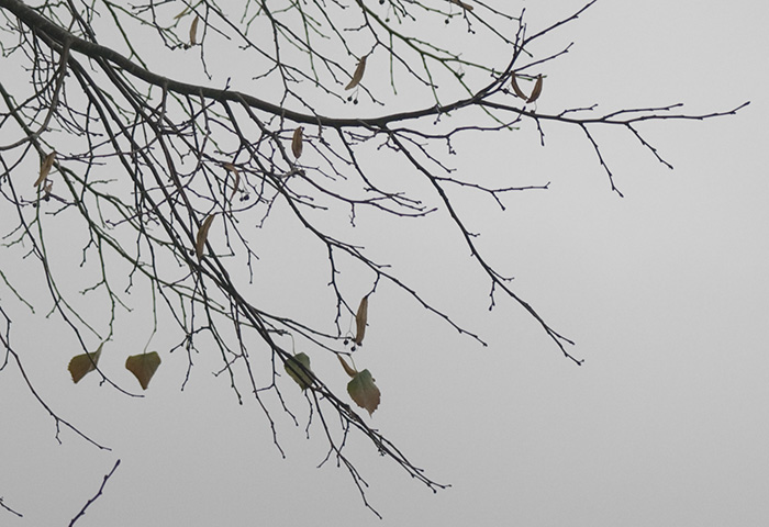 End of Autumn