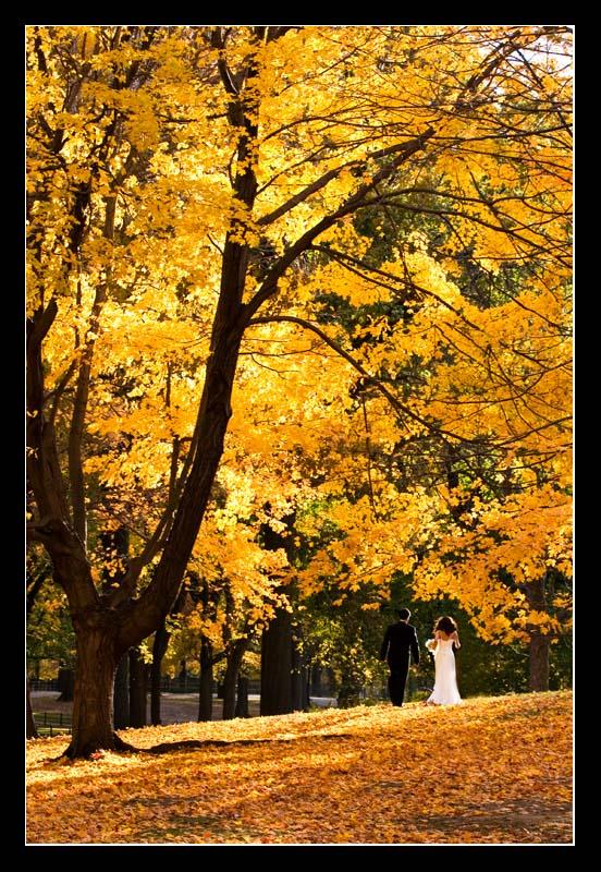 An Autumn Evening : 7th Place