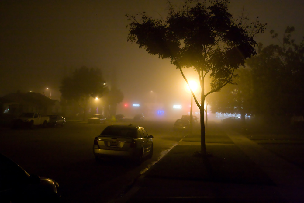 Foggy Night