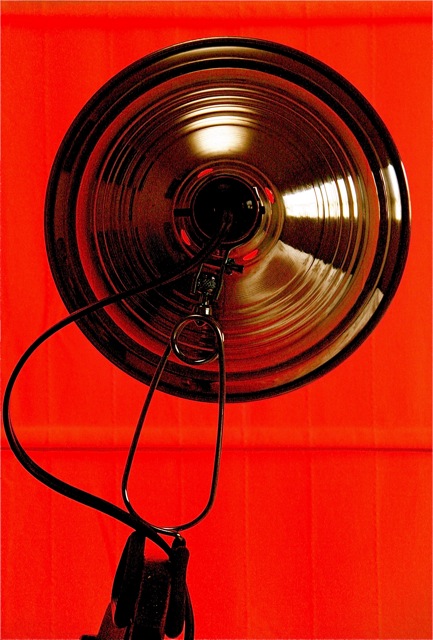 backlit light