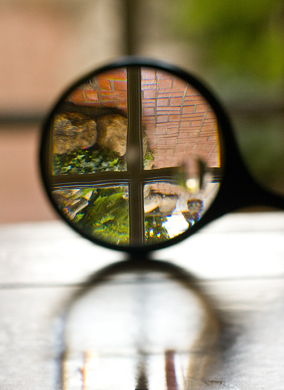 Ocular
