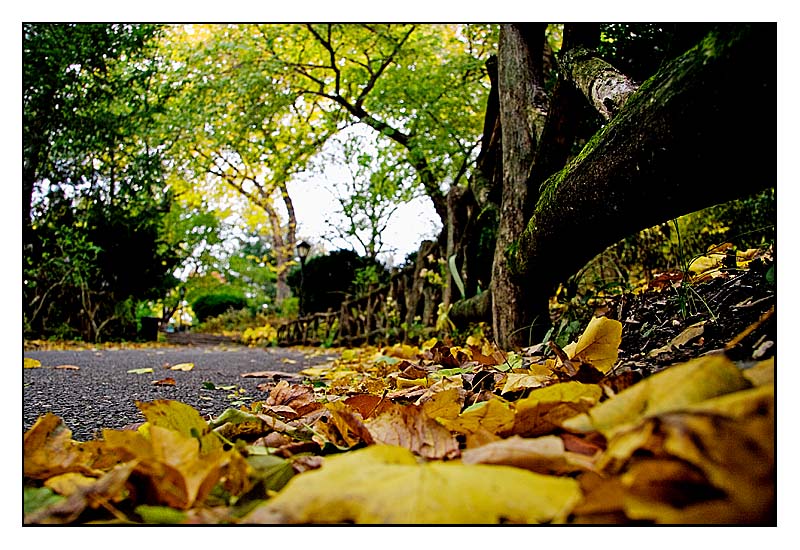 Shakespeare Garden
