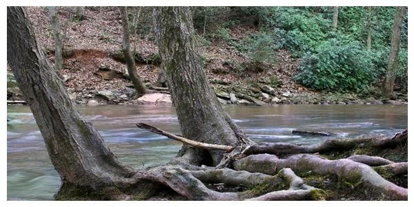 Big Creek