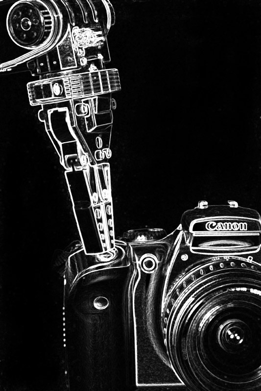 Say Cheese