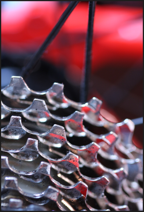 8th Place<br>Gears In Red<br>by Lydia too