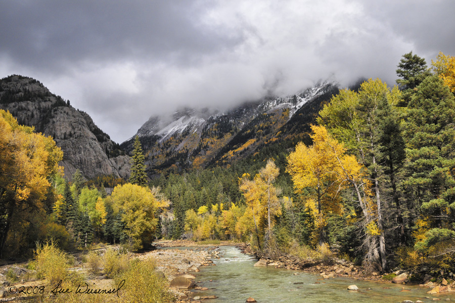 The Splendor of Fall