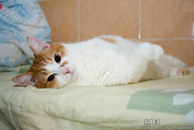 DSC00001a.jpg