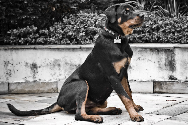 lolasixmonths-86.jpg