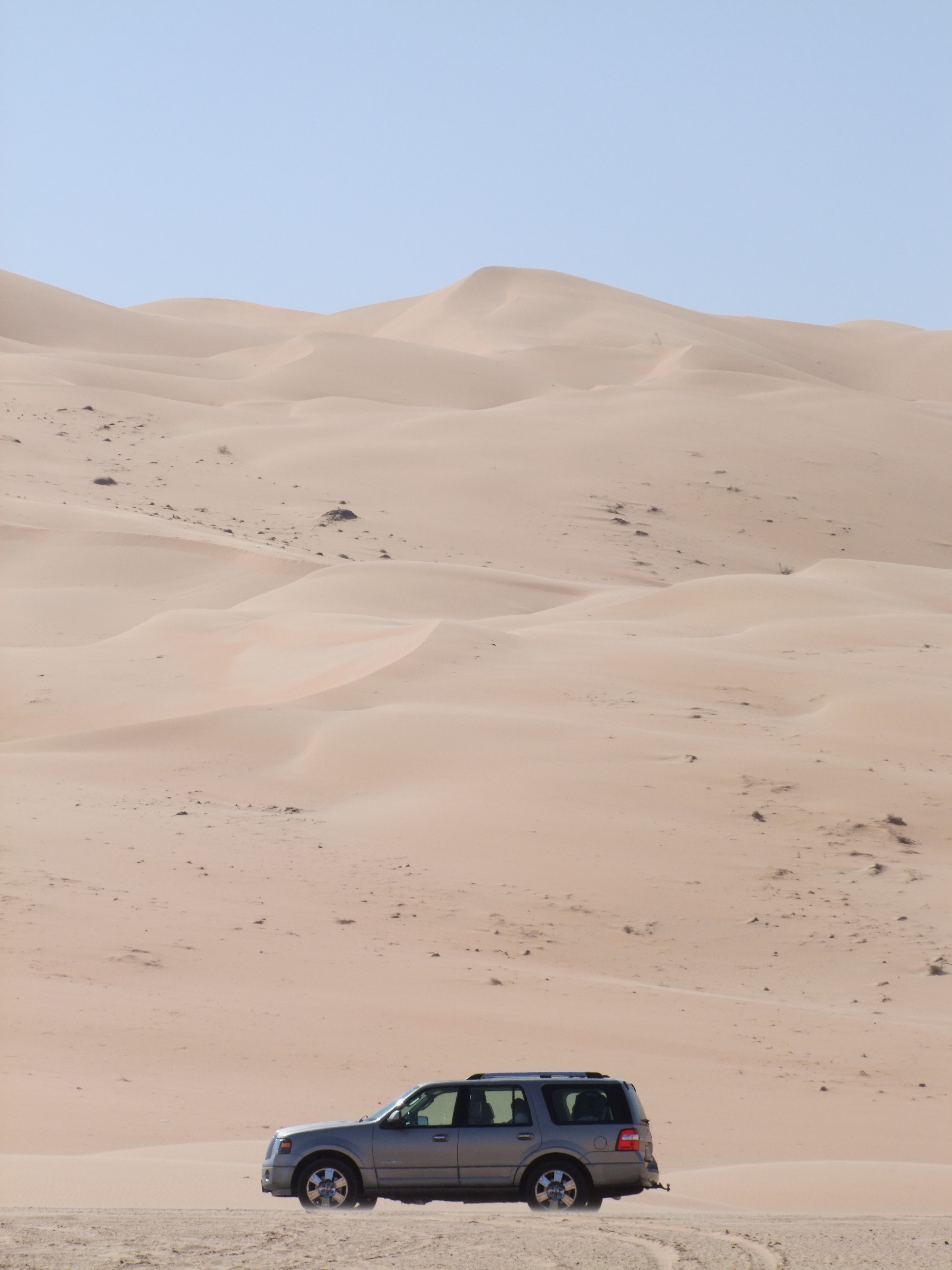 In the Liwa Desert.jpg