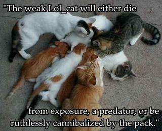 cannibals.jpg