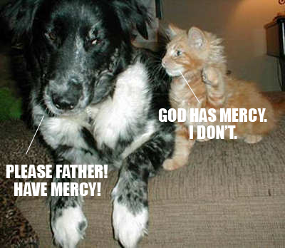 grindhousecat4.png